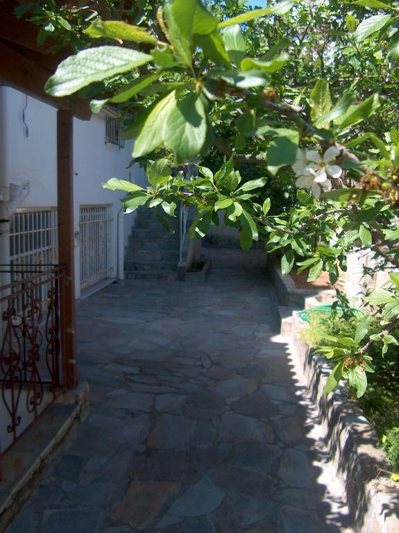 Athenian Spiti Villa Ártemida Szoba fotó